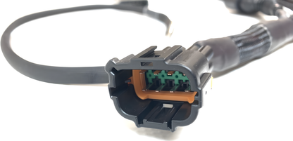 Wiring Specialties Detail Assembly - RB26 PRO Series Harness – Audi R8 VAG Smart Coil Conversion – WRS-RB26AUDICOIL-4WS