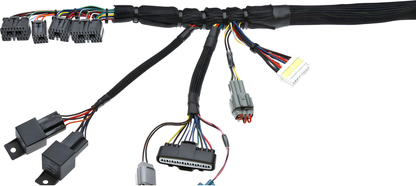 Wiring Specialties Detail Assembly - 1JZGTE VVTi Standalone Harness - PRO SERIES WRS-PRO1JZVVTI-UNI