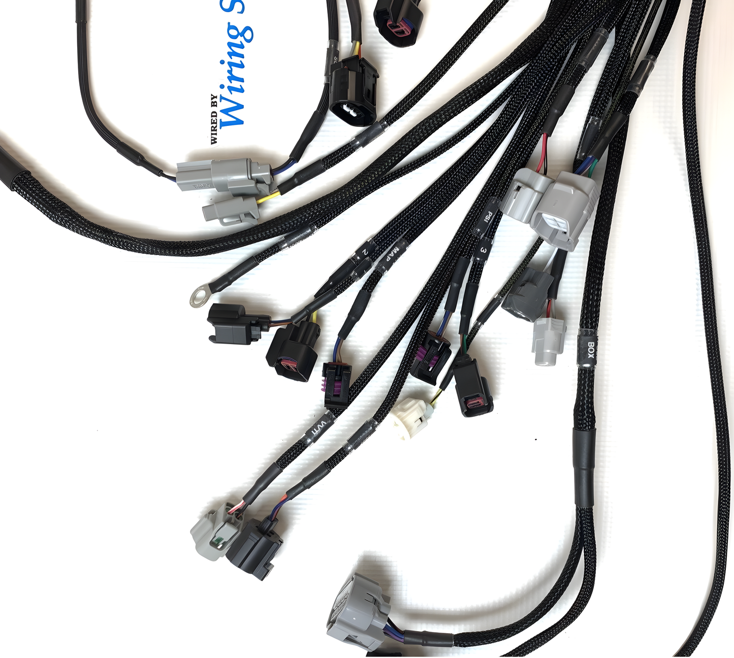 Wiring Specialties Detail Assembly - 2JZGTE PRO Series Harness for RHD JZA80 Toyota Supra – WRS-PRO2JZ-MKIVRHD