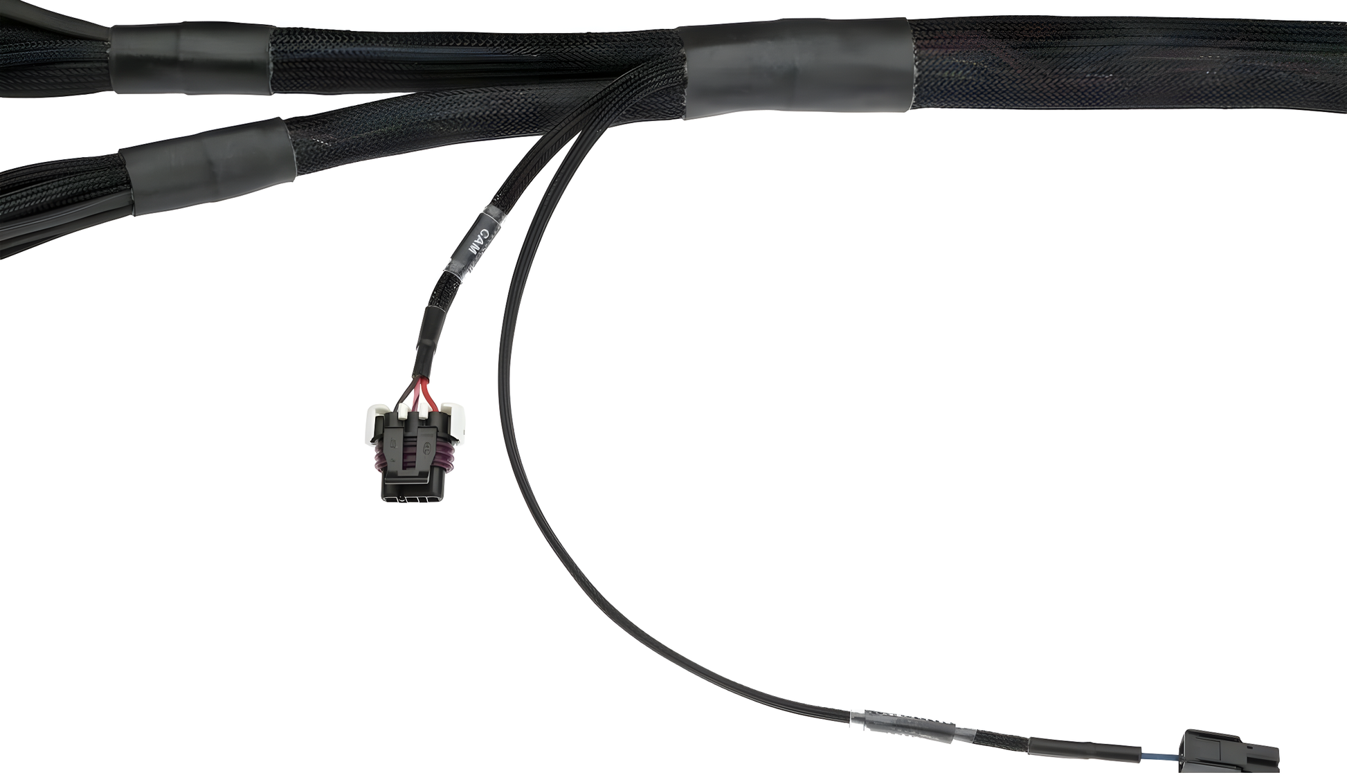Wiring Specialties Detail Assembly - LSx Gen IV DBC Wiring Harness for Classic Chevrolet / GM - PRO Series Harnesses WRS-PROLSXG4-CHEV