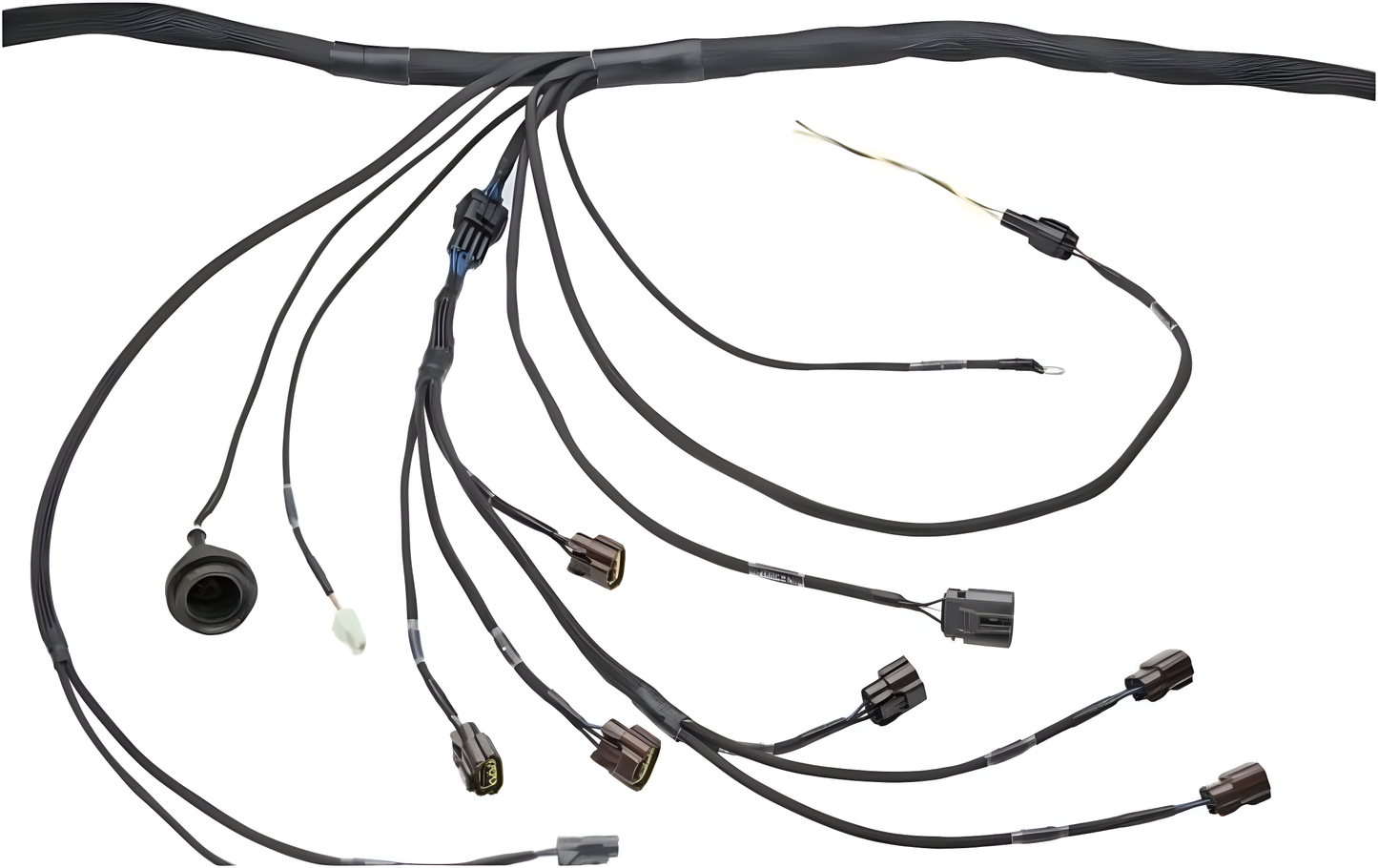 Wiring Specialties Detail Assembly - RB20DET PRO Series Harness for Z32 300ZX / Fairlady Z – WRS-PRORB20-Z32