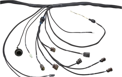 Wiring Specialties Detail Assembly - RB20DET PRO Series Harness for Z32 300ZX / Fairlady Z – WRS-PRORB20-Z32