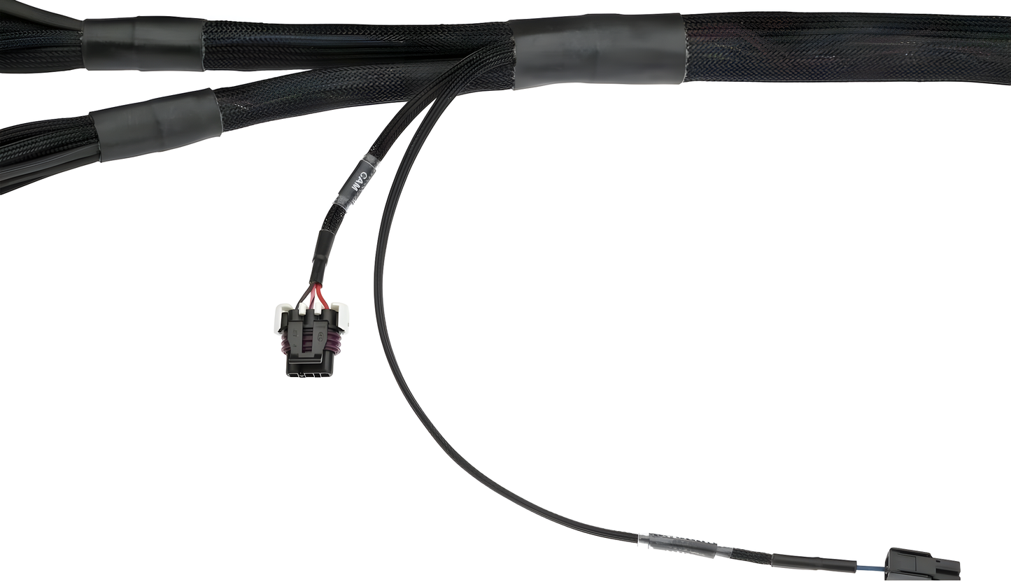 Wiring Specialties Detail Assembly - LSx Gen IV DBC Wiring Harness for 300zx / Fairlady Z32 - PRO SERIES WRS-PROLSXG4-Z32