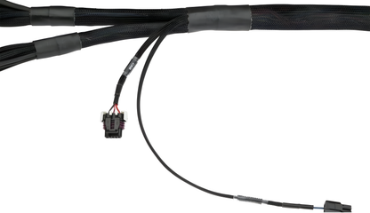 Wiring Specialties Detail Assembly - LSx Gen IV DBC Wiring Harness for 300zx / Fairlady Z32 - PRO SERIES WRS-PROLSXG4-Z32