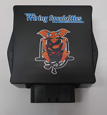 Wiring Specialties Detail Assembly - RB20DET PRO Series Harness for BMW E46 – Part WRS-PRORB20-E46C