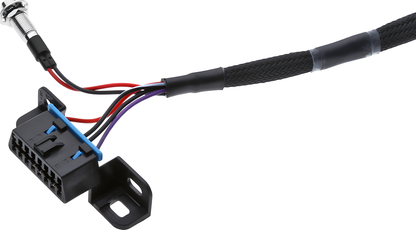 Wiring Specialties Detail Assembly - LS1 / Vortec PRO Series Harness for Classic Chevrolet/GM – WRS-PROLS1-CCHEV