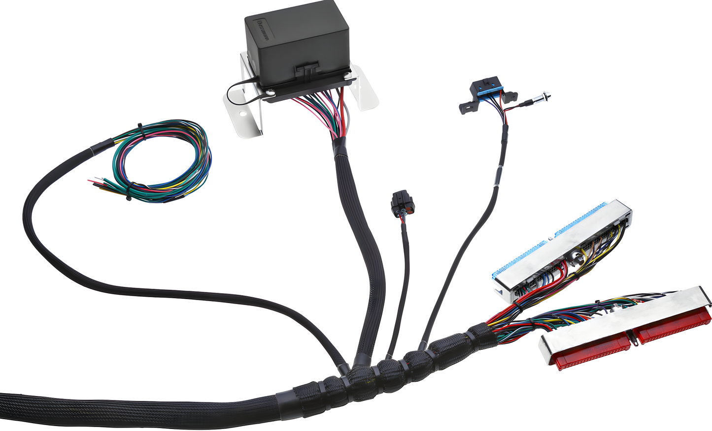 Wiring Specialties Detail Assembly - LS1 Harness PRO Series Universal WRS-PROLS1-UNI-PCU-HPT-COMBO