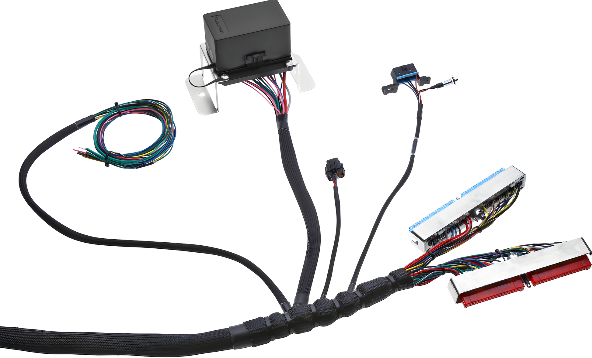Wiring Specialties Detail Assembly - LS1 Harness PRO Series Universal WRS-PROLS1-UNI-PCU-HPT-COMBO