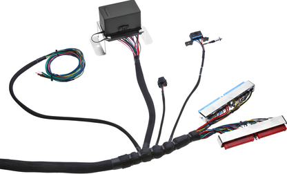 Wiring Specialties Detail Assembly - LS1 Harness PRO Series Universal WRS-PROLS1-UNI-PCU-HPT-COMBO
