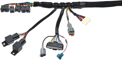 Wiring Specialties Detail Complete - 1JZGTE VVTi PRO Series Harness for 300ZX Z32 – Part WRS-PRO1JZVVTI-Z32