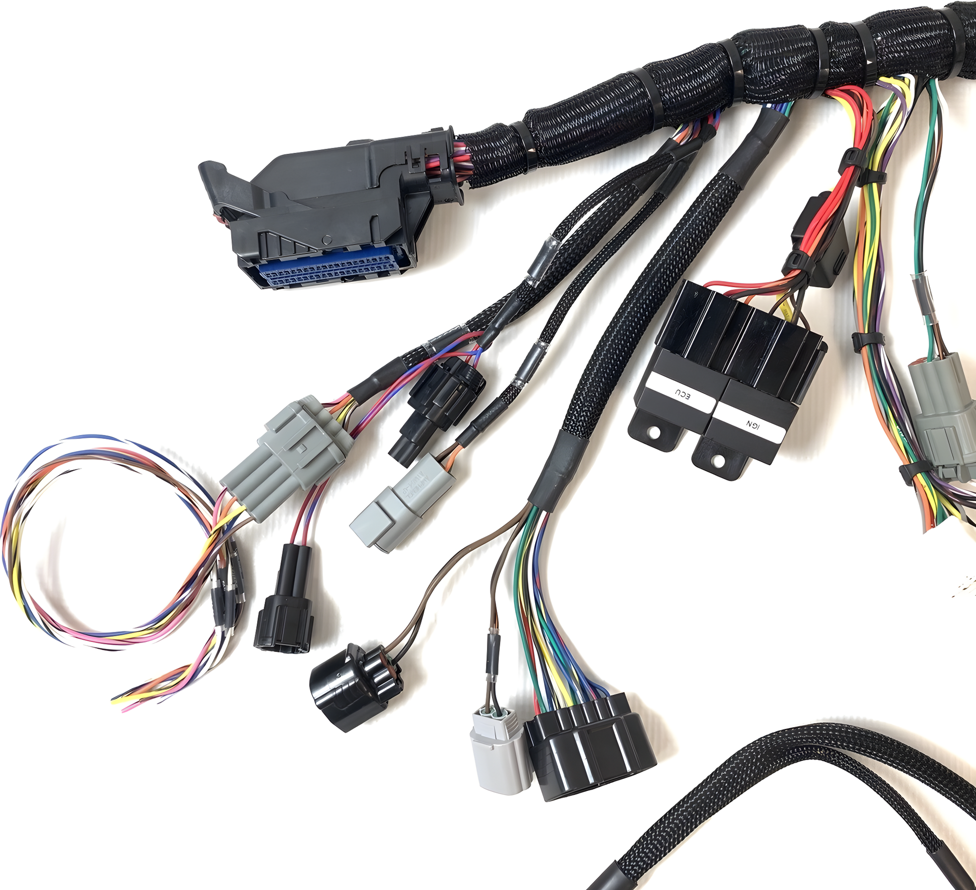 Wiring Specialties Detail Complete - 1JZGTE PRO Series Harness for RHD JZA80 Supra (1993-1998) WRS-PRO1JZ-MKIVRHD