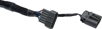 Wiring Specialties Detail Complete - RB26 Connector RX7 OEM Series WRS-RB26VR38-COIL