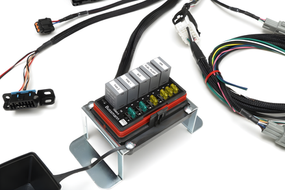 Wiring Specialties Detail Complete - LS3 Gen IV Harness for Datsun - PRO SERIES WRS-PROLS3-DAT