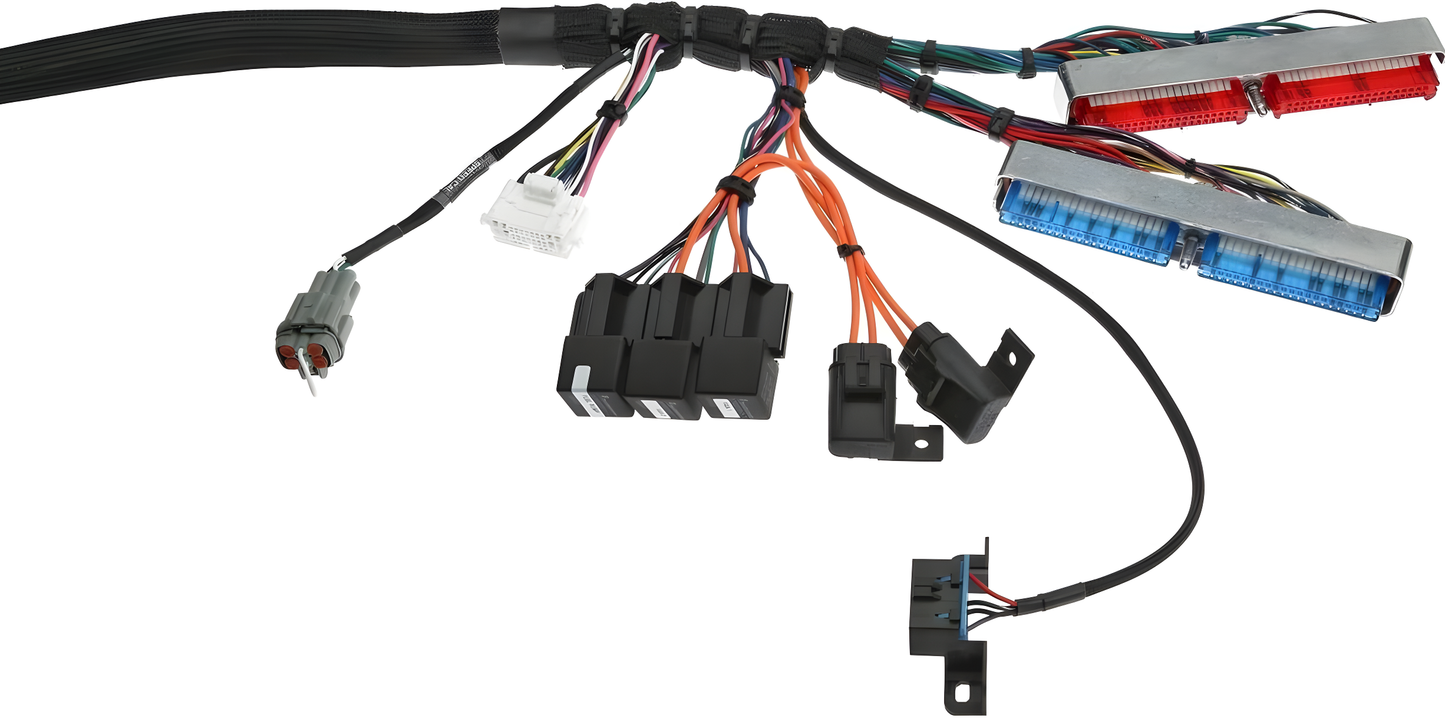 Wiring Specialties Detail Complete - LSx Gen IV DBC Wiring Harness for Classic Chevrolet / GM - PRO Series Harnesses WRS-PROLSXG4-CHEV