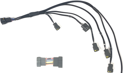 Wiring Specialties Detail Complete - RB26 Coil Conversion Kit PRO Series WRS-RB26-COIL-R35-4PRO