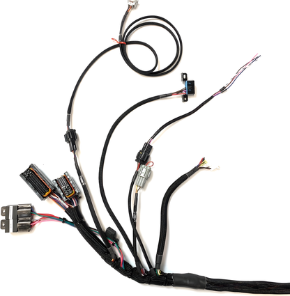 Wiring Specialties Detail Complete - VQ35DE PRO Series Harness for Z32 300zx / Fairlady Z - WRS-PROVQ35-Z32
