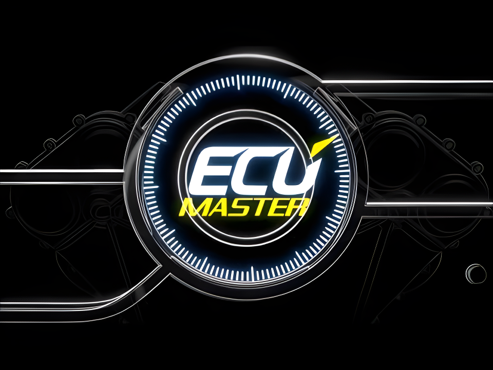 Wiring Specialties Detail Complete - ECU Master BTI CAN Gauge Kit for EMU ECUs 52mm Part EMU-BTICAN52