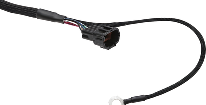 Wiring Specialties Detail Complete - RB25 Smart Coil Conversion Kit for RB25DET Series 2 and RB25 NEO – WRS-RB25S2LS2-COIL