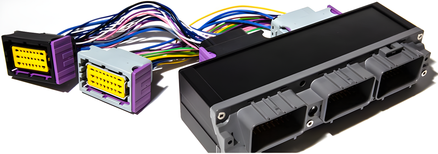 Wiring Specialties EMU-ECU2JZ-PTC Main Product Photo