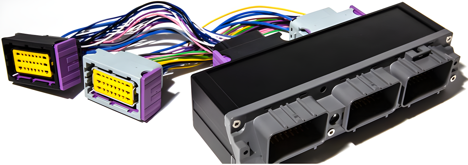 Wiring Specialties EMU-ECU2JZ-PTC Main Product Photo