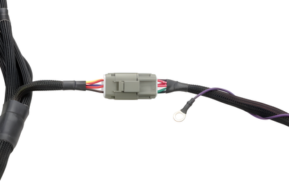 Wiring Specialties Engine Bay Fitment - SR20DET PRO Series Harness for S14 Datsun WRS-PROS14SR20-DAT