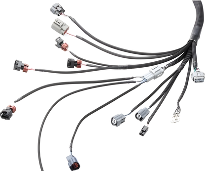 Wiring Specialties Engine Bay Fitment - RB26DETT PRO Series Harness for BMW E36 – WRS-PRORB26-E36