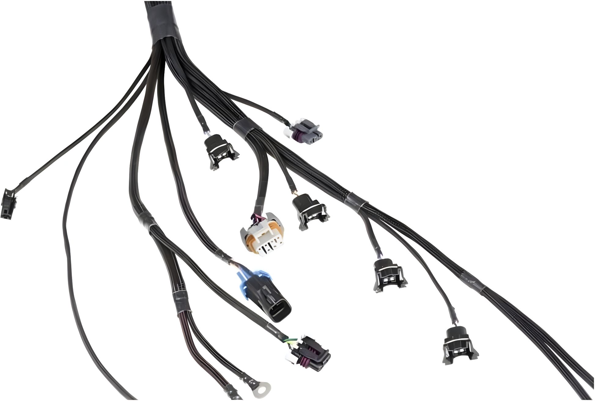 Wiring Specialties Engine Bay Fitment - LS1 / Vortec Swap Harness for S13 240sx - PRO SERIES WRS-PROLS1-S13