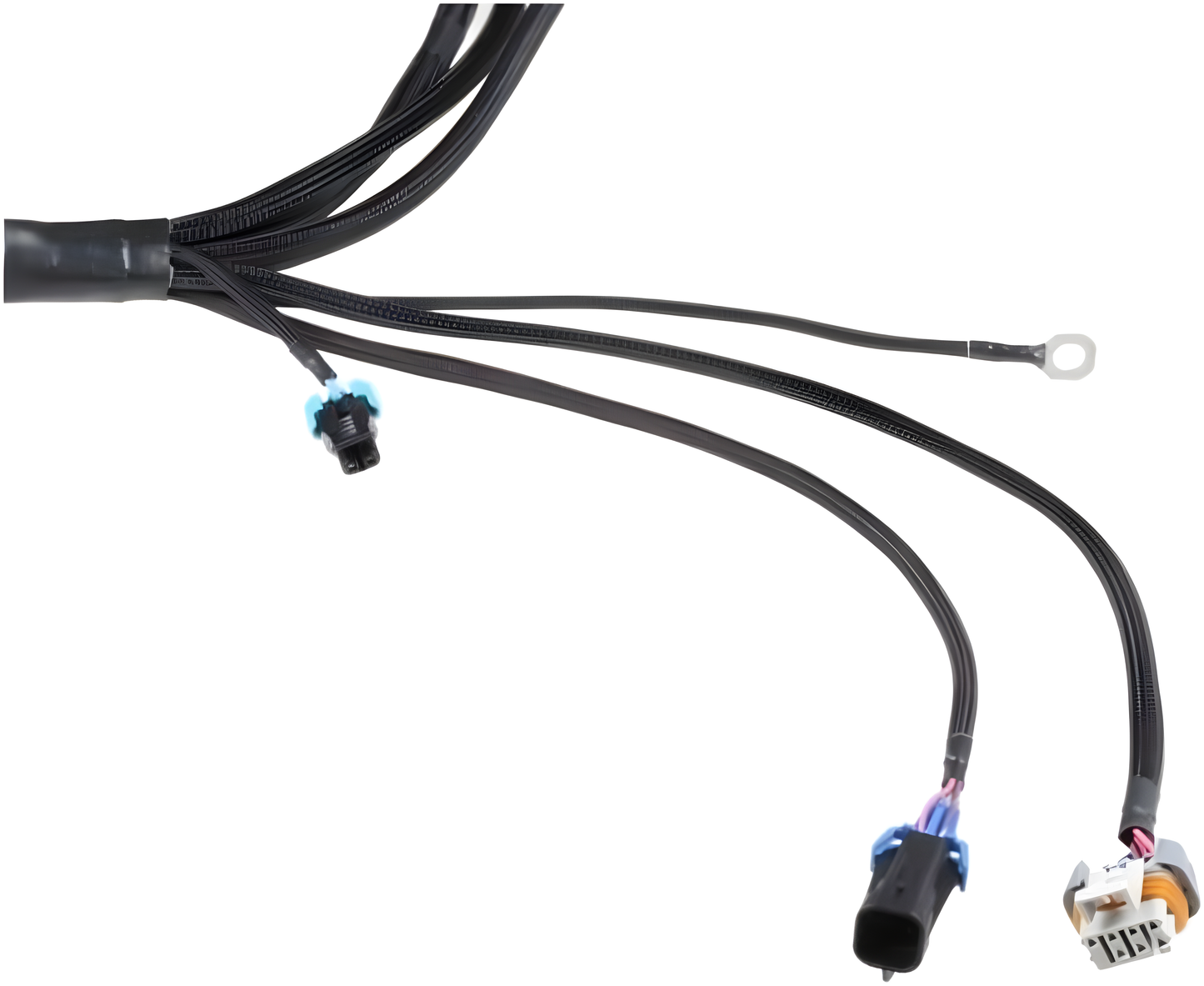 Wiring Specialties Engine Bay Fitment - LS1 / Vortec Swap Harness for S13 240sx - PRO SERIES WRS-PROLS1-S13