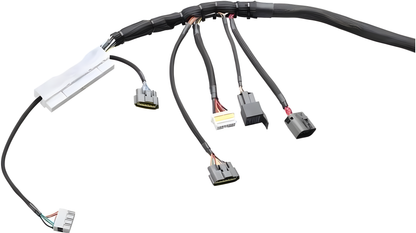 Wiring Specialties Fitment Guide - RB26DETT PRO Series Harness for BMW E36 – WRS-PRORB26-E36