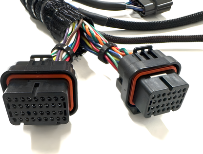 Wiring Specialties Fitment Guide - VG30DETT Harness 300ZX / Fairlady Z32 PRO ECU SERIES WRS-VG30-HTE2500-PRO