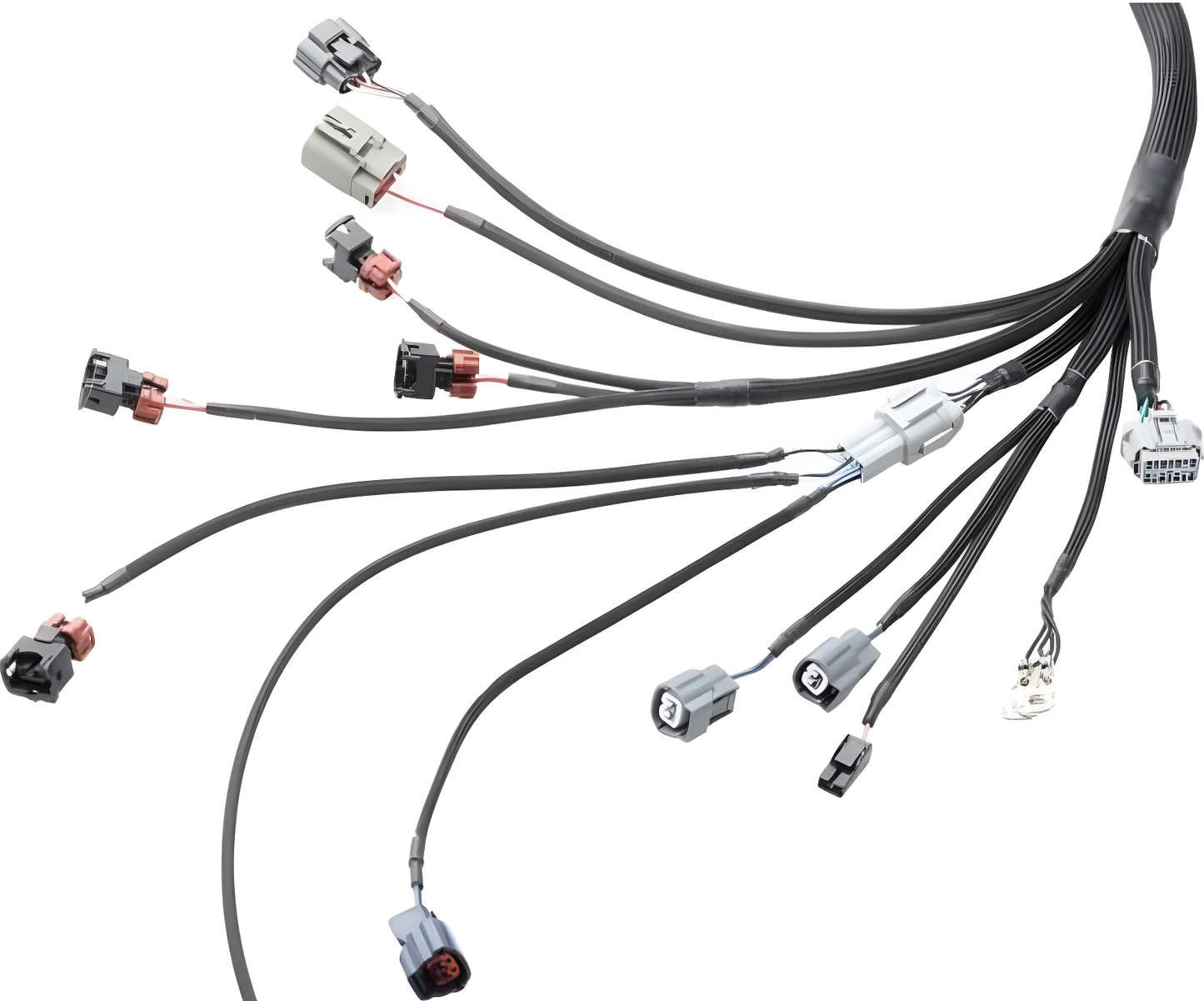 Wiring Specialties Fitment Guide - RB26DETT to Datsun Wiring Harness - PRO SERIES WRS-PRORB26-DAT