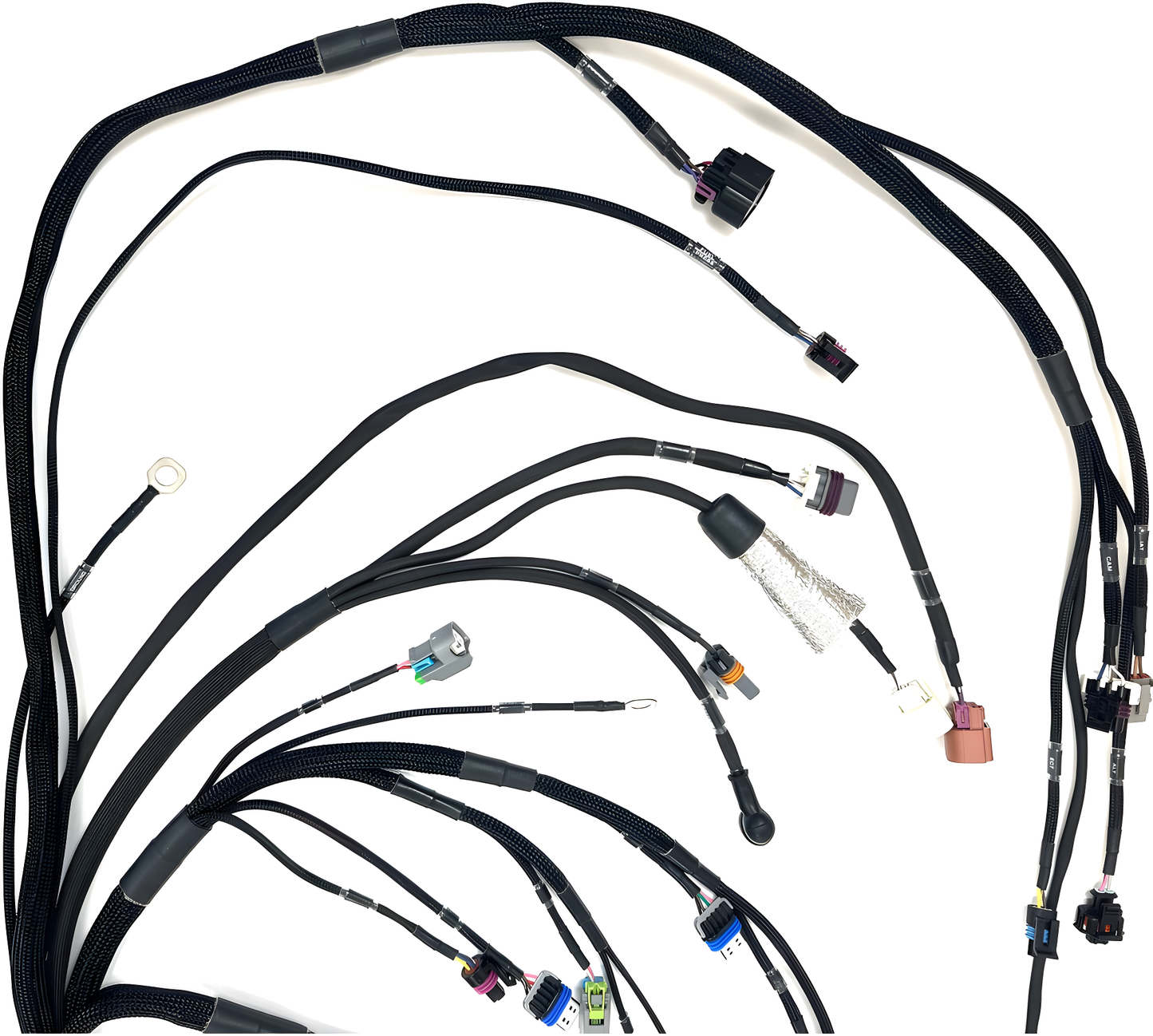 Wiring Specialties Fitment Guide - LS3 PRO Series Harness for BMW E30 - Part WRS-PROLS3-HAL-ELITE2500-E30