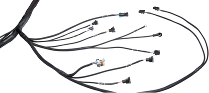 Wiring Specialties Fitment Guide - LS1 Harness PRO Series Universal WRS-PROLS1-UNI-PCU-HPT-COMBO