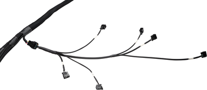 Wiring Specialties Fitment Guide - 2JZGTE PRO Series Harness for USDM LHD V35 Infiniti G35 – Part WRS-PRO2JZ-G35