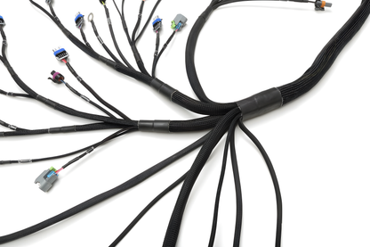 Wiring Specialties Full Length - LS3 Gen IV Harness for Nissan S14 240SX - PRO SERIES WRS-PROLS3-S14