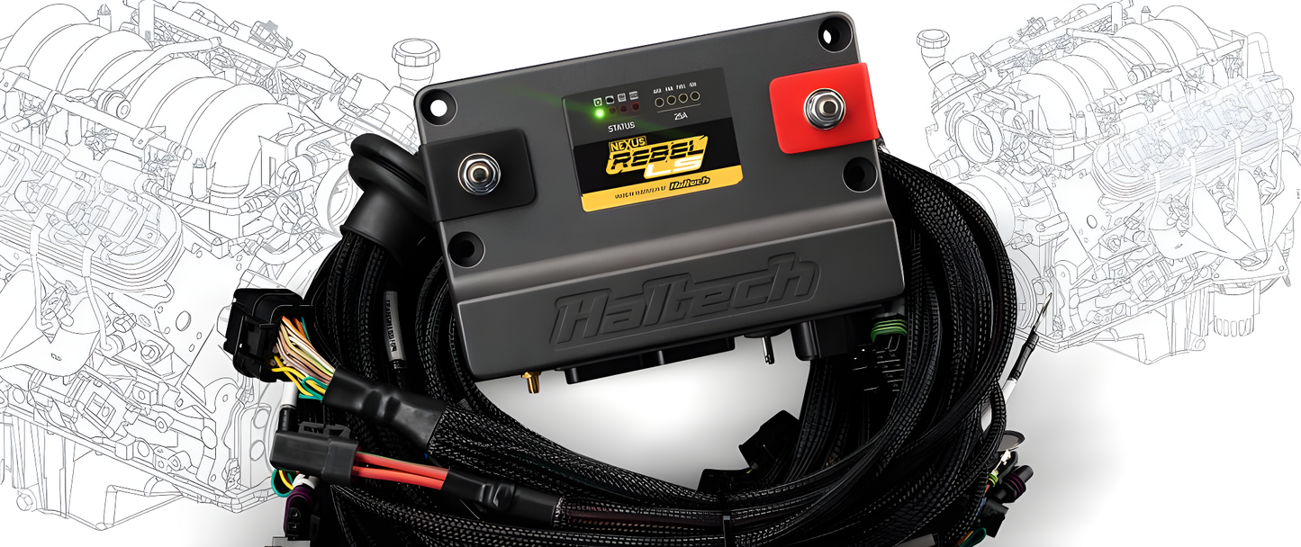 Wiring Specialties Full Length - LS1 ECU & Electronics Kit for BMW E36 Standalone WRS-HT-220201-E36