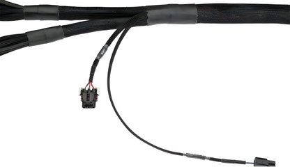 Wiring Specialties Full Length - LSx Gen IV DBC Wiring Harness for G35 – PRO Series – Part WRS-PROLSXG4-G35