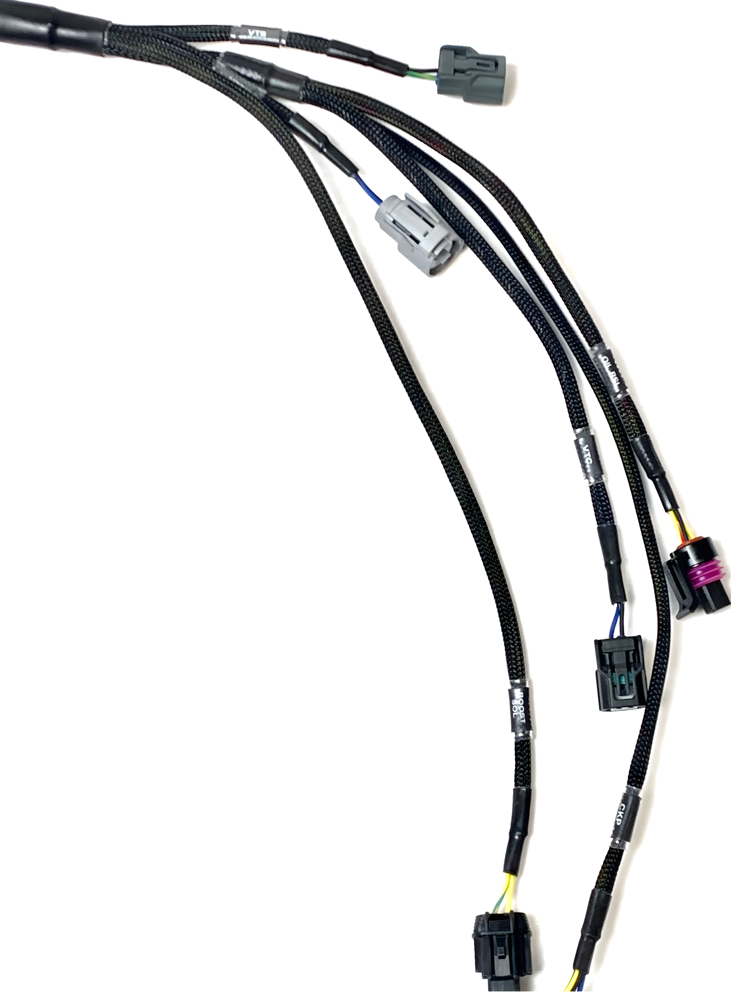 Wiring Specialties Full Length - K24 PRO Series Harness for Z32 300ZX Swap Part WRS-PROK20K24-Z32