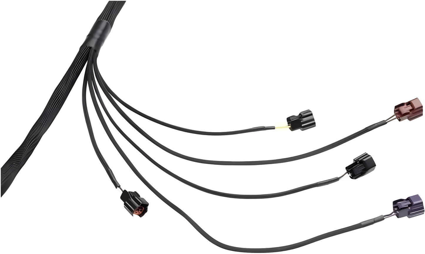 Wiring Specialties Full Length - RB25DET Standalone Harness - PRO SERIES Universal WRS-PRORB25-UNI