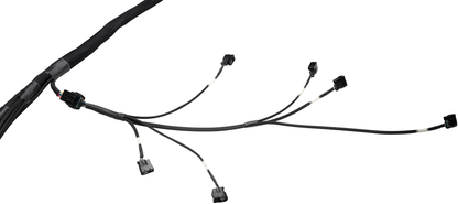 Wiring Specialties Full Length - 2JZGTE PRO Series Harness for S14 RHD Silvia – WRS-PRO2JZ-S14RHD
