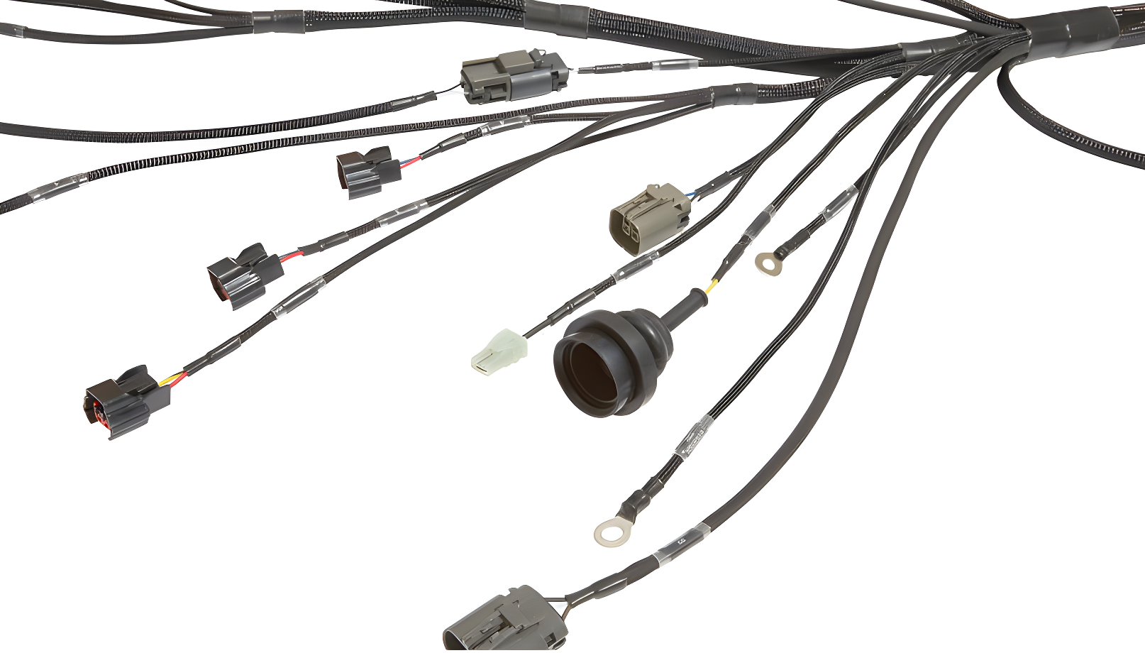 Wiring Specialties Full Length - SR20DET PRO Series Harness S13 Datsun WRS-PROSR20-VVL-DAT