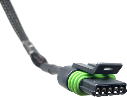Wiring Specialties Full Length - 1JZGTE/2JZGTE AEM A1A HO Coil Conversion Harness PRO Series WRS-PRO-JZVVTI-CPH-AEM