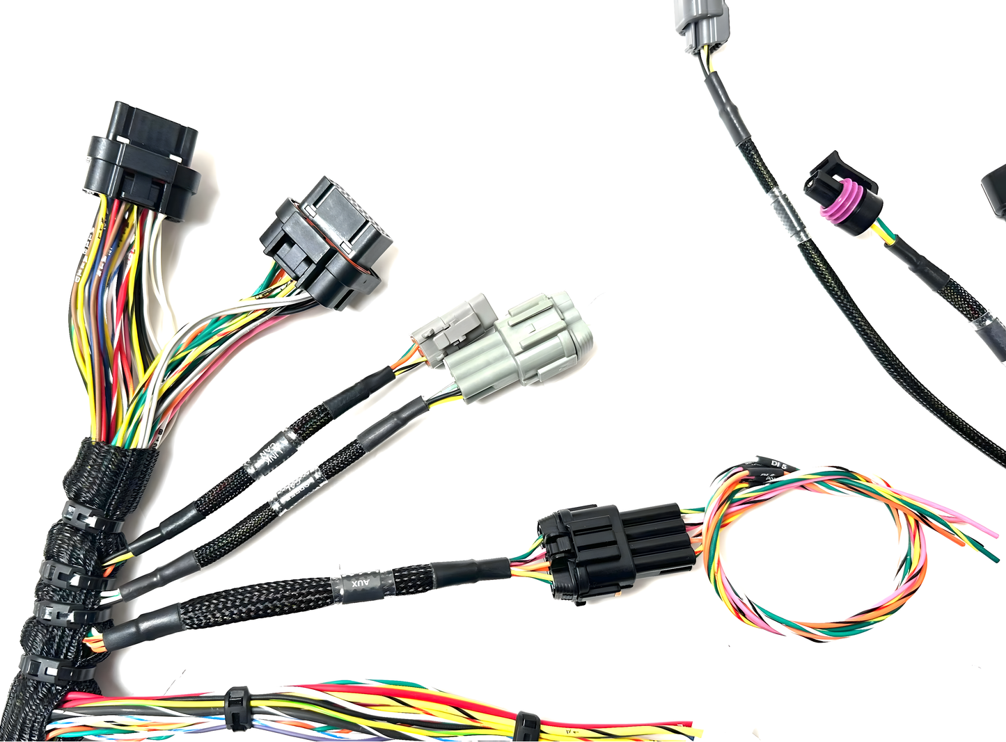 Wiring Specialties Full Length - K24 Harness Nissan R32 GTS PRO Series WRS-PROK20K24-LINKHALECU-R32-GTS