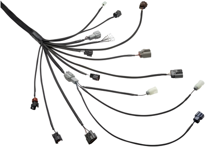 Wiring Specialties Full Length - RB25DET PRO Series Harness for BMW E36 – WRS-PRORB25-E36