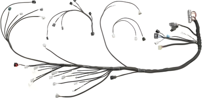Wiring Specialties Full Length - 1JZGTE PRO Series Harness for Nissan S13 200sx (LHD EURO) – WRS-PRO1JZ-200SX