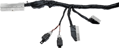 Wiring Specialties Full Length - RB26DETT Engine Harness R33 Skyline GTR OEM Series WRS-RB26R33-MAIN