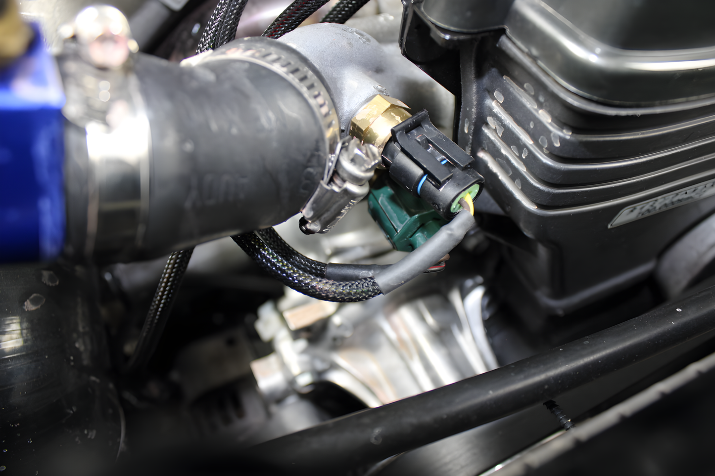 Wiring Specialties Full Length - 1JZGTE PRO Series Harness for USDM LHD V35 Infiniti G35 – Part WRS-PRO1JZ-G35