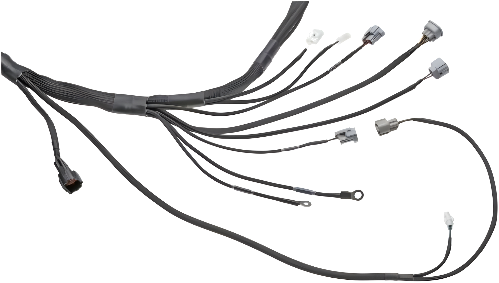 Wiring Specialties Full Length - 1JZGTE PRO Series Harness for Nissan S13 200sx (LHD EURO) – WRS-PRO1JZ-200SX