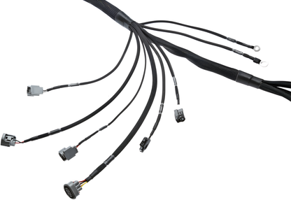 Wiring Specialties Full Length - 1JZGTE VVTi PRO Series Harness for 300ZX Z32 – Part WRS-PRO1JZVVTI-Z32