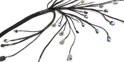 Wiring Specialties Harness Assembly - LS3 Gen IV Harness for Nissan S14 240SX - PRO SERIES WRS-PROLS3-S14